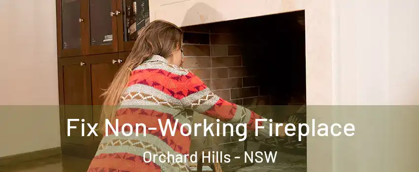 Fix Non-Working Fireplace Orchard Hills - NSW