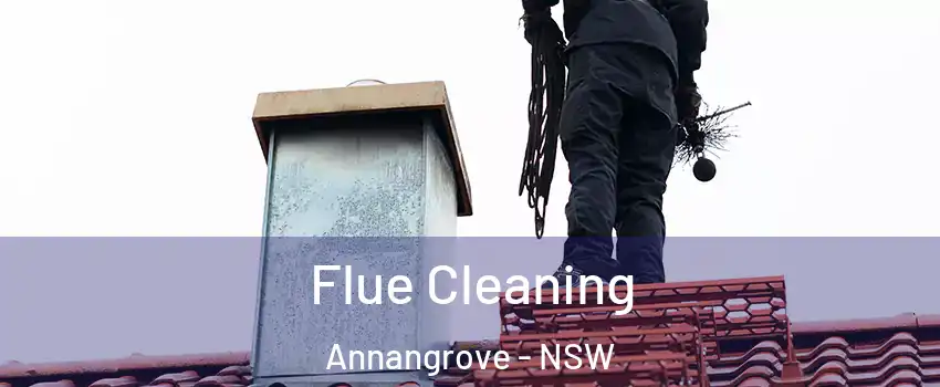  Flue Cleaning Annangrove - NSW