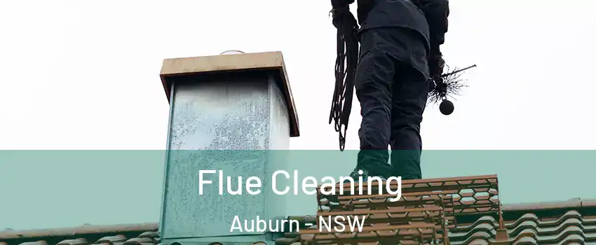 Flue Cleaning Auburn - NSW