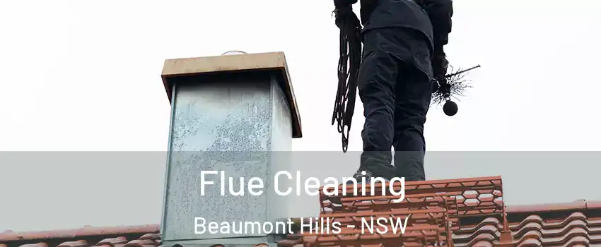 Flue Cleaning Beaumont Hills - NSW