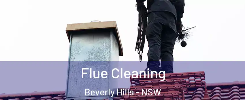 Flue Cleaning Beverly Hills - NSW