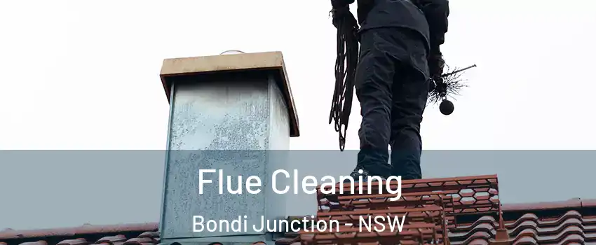 Flue Cleaning Bondi Junction - NSW