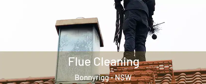 Flue Cleaning Bonnyrigg - NSW