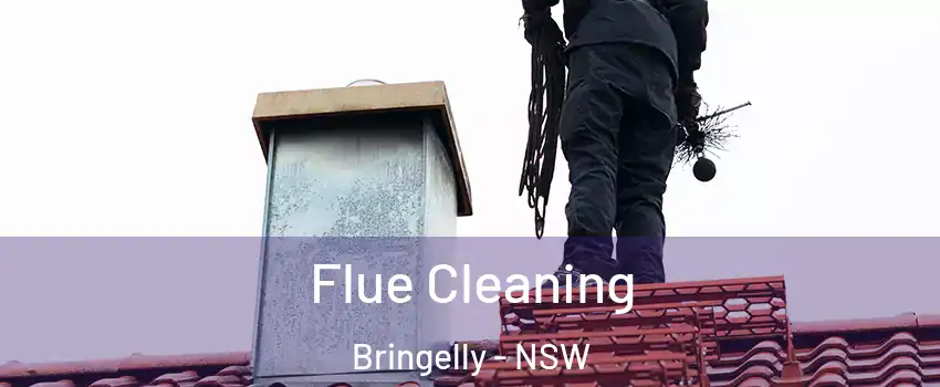 Flue Cleaning Bringelly - NSW
