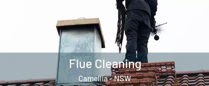 Flue Cleaning Camellia - NSW