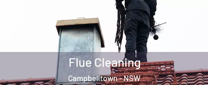 Flue Cleaning Campbelltown - NSW