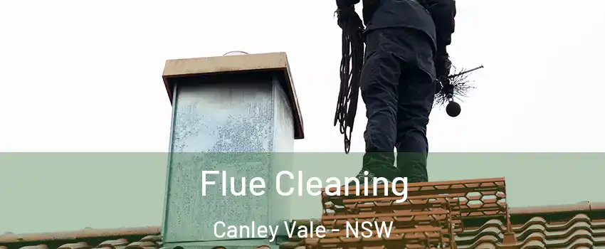 Flue Cleaning Canley Vale - NSW