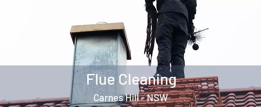 Flue Cleaning Carnes Hill - NSW