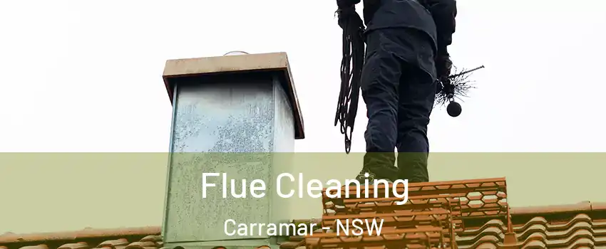 Flue Cleaning Carramar - NSW
