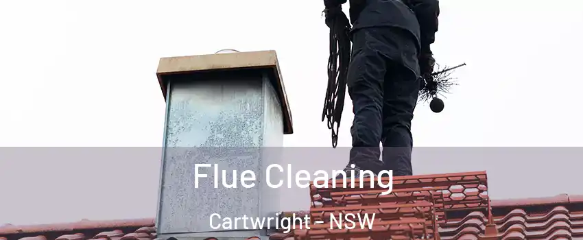 Flue Cleaning Cartwright - NSW