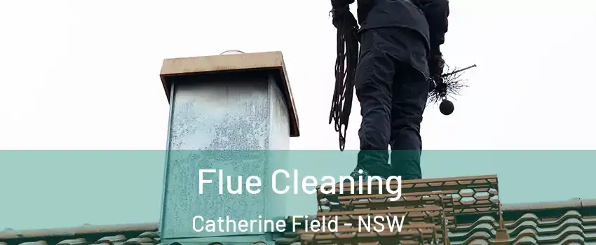 Flue Cleaning Catherine Field - NSW