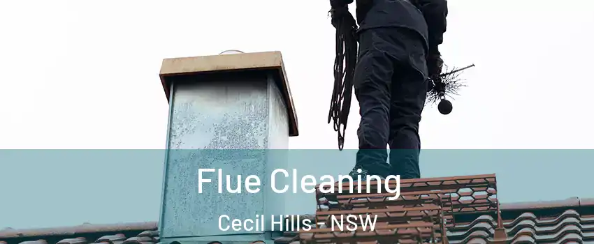 Flue Cleaning Cecil Hills - NSW