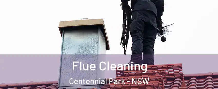 Flue Cleaning Centennial Park - NSW