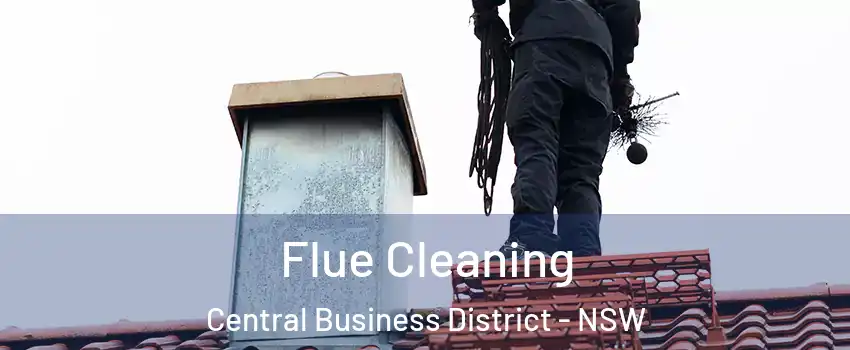 Flue Cleaning Central Business District - NSW