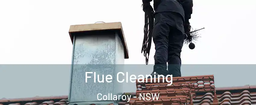 Flue Cleaning Collaroy - NSW