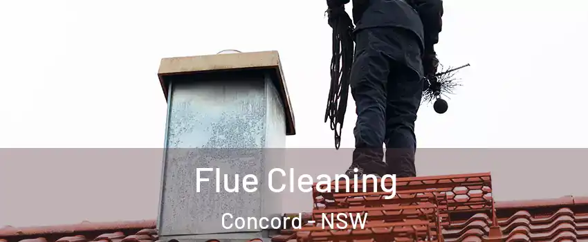 Flue Cleaning Concord - NSW