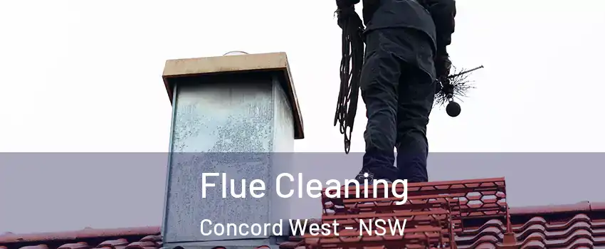  Flue Cleaning Concord West - NSW