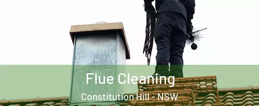 Flue Cleaning Constitution Hill - NSW