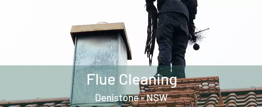 Flue Cleaning Denistone - NSW