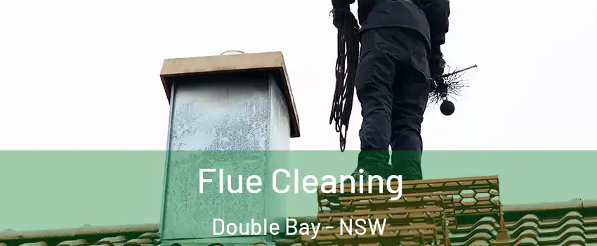 Flue Cleaning Double Bay - NSW