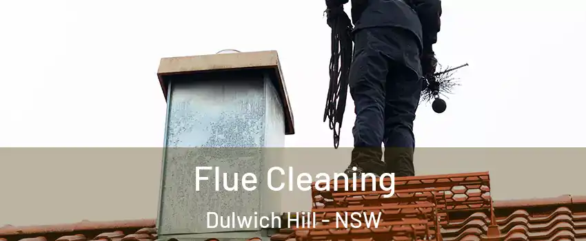 Flue Cleaning Dulwich Hill - NSW