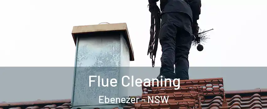 Flue Cleaning Ebenezer - NSW