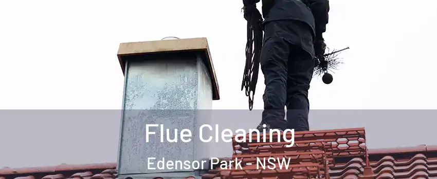 Flue Cleaning Edensor Park - NSW