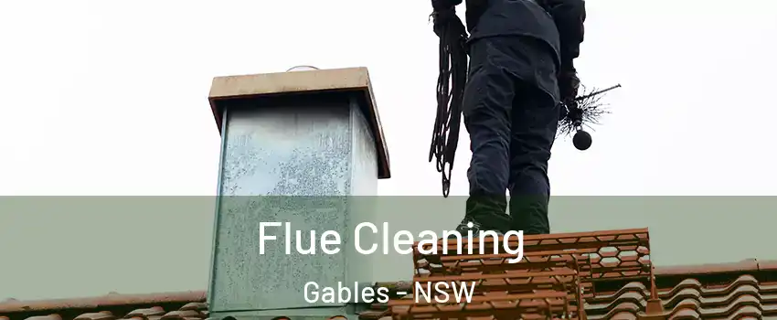  Flue Cleaning Gables - NSW
