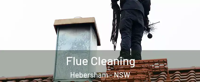 Flue Cleaning Hebersham - NSW