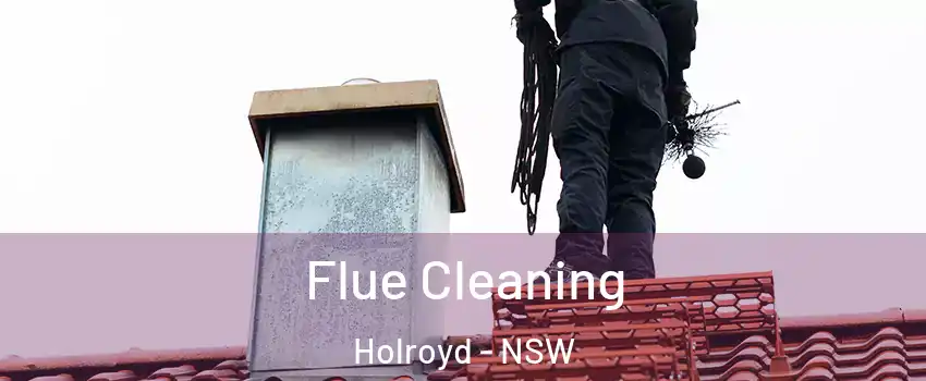 Flue Cleaning Holroyd - NSW