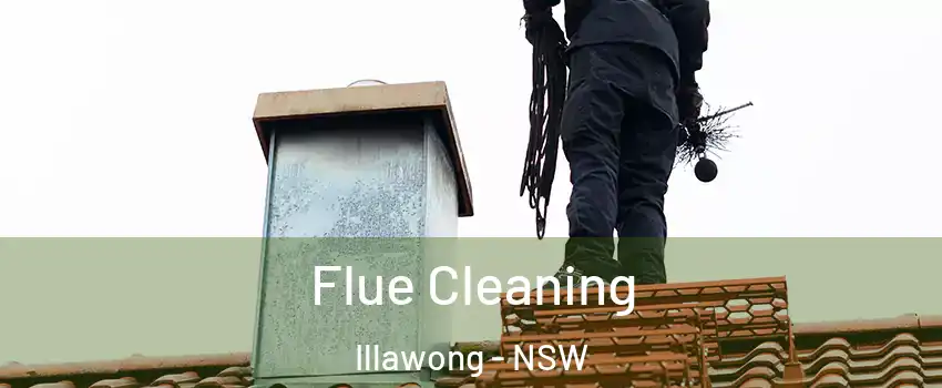 Flue Cleaning Illawong - NSW