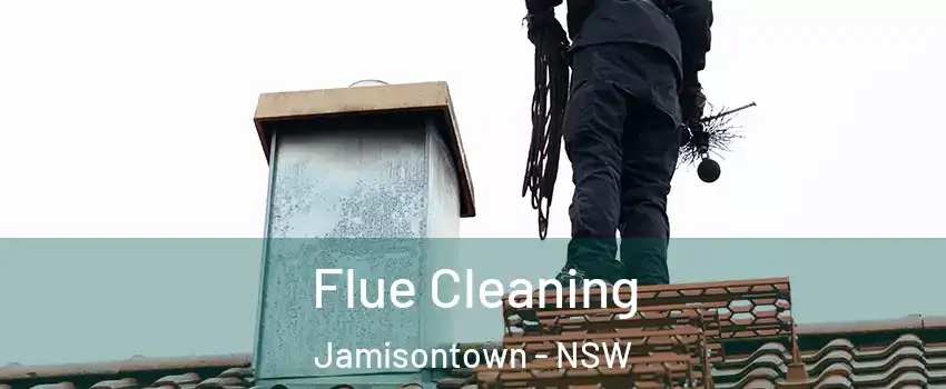 Flue Cleaning Jamisontown - NSW