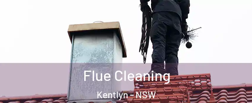 Flue Cleaning Kentlyn - NSW