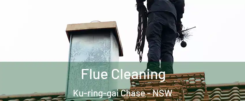 Flue Cleaning Ku-ring-gai Chase - NSW