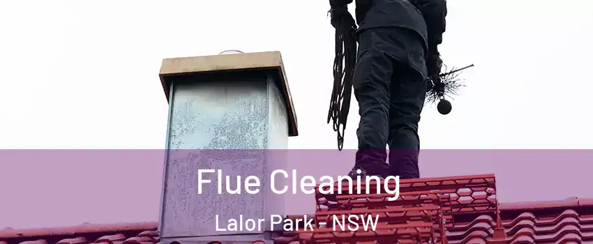 Flue Cleaning Lalor Park - NSW