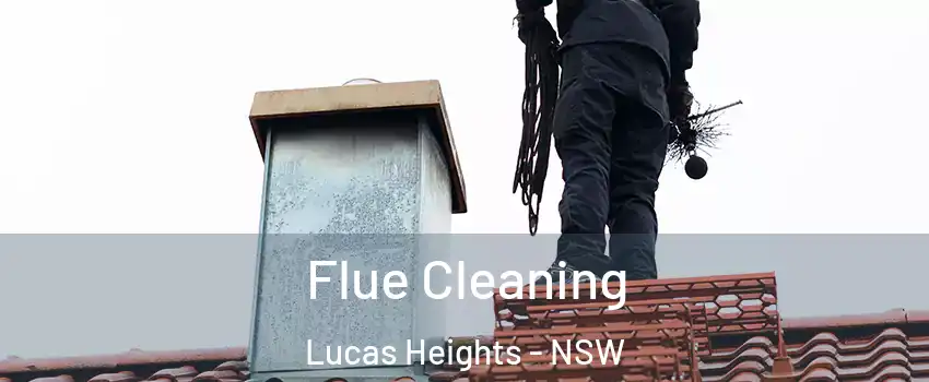 Flue Cleaning Lucas Heights - NSW
