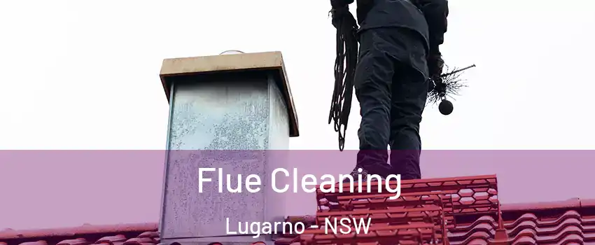 Flue Cleaning Lugarno - NSW