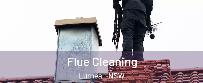 Flue Cleaning Lurnea - NSW
