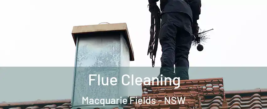 Flue Cleaning Macquarie Fields - NSW
