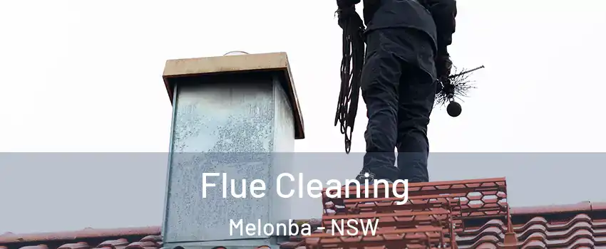 Flue Cleaning Melonba - NSW