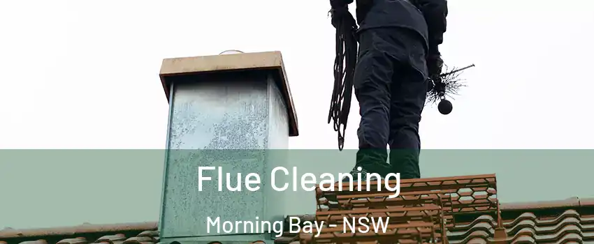 Flue Cleaning Morning Bay - NSW