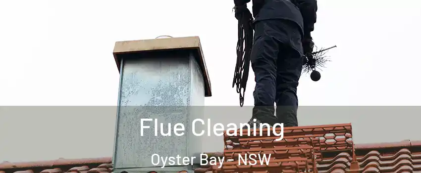 Flue Cleaning Oyster Bay - NSW