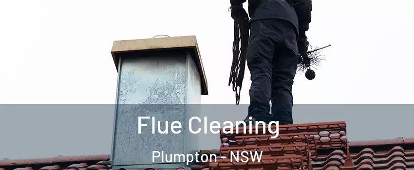 Flue Cleaning Plumpton - NSW