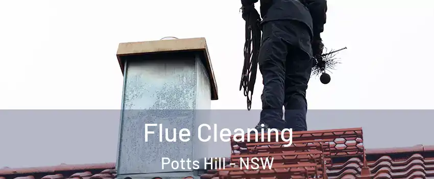 Flue Cleaning Potts Hill - NSW