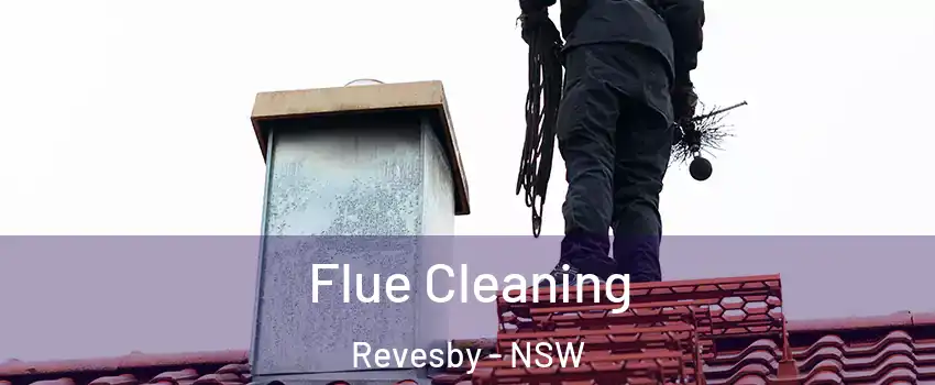 Flue Cleaning Revesby - NSW