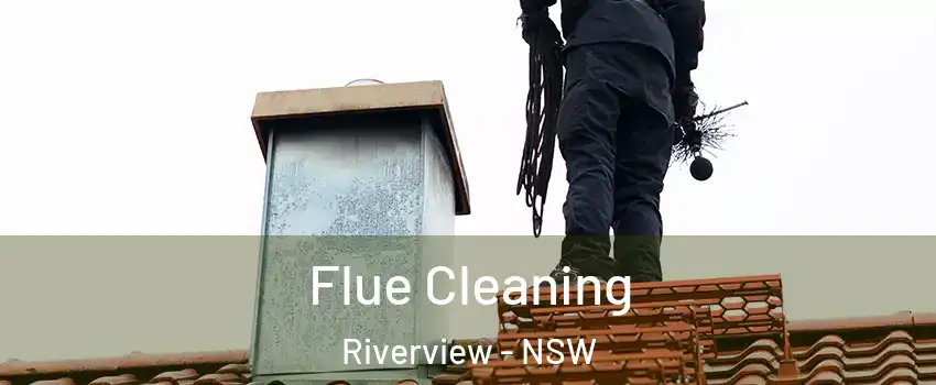 Flue Cleaning Riverview - NSW