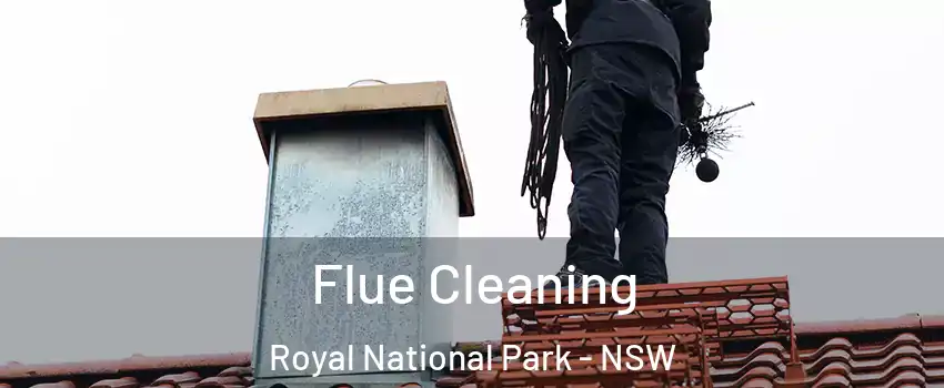 Flue Cleaning Royal National Park - NSW