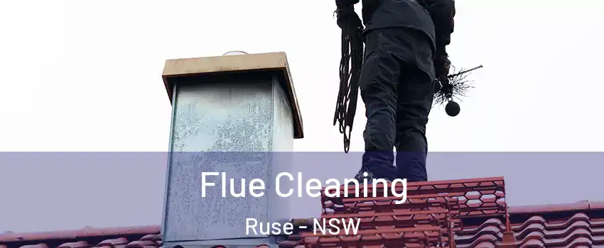 Flue Cleaning Ruse - NSW