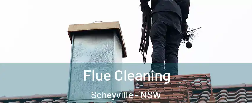 Flue Cleaning Scheyville - NSW