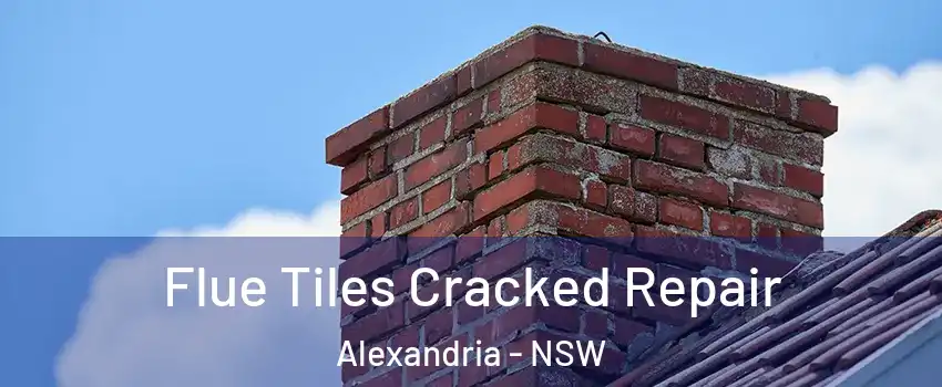 Flue Tiles Cracked Repair Alexandria - NSW